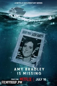Amy Bradley is Missing (2025) S01 Hindi Web Series