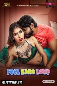 Feel Karo Love (2025) S01 MoodX Hindi Unrated Webseries
