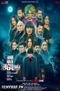 Haan Main Pagal Haan (2025) Punjabi Movie