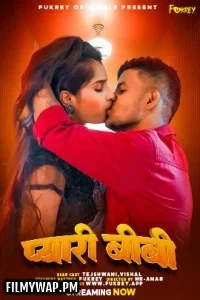 Pyari Biwi (2024) Fukrey Hindi Short Film