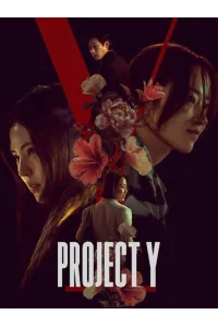 Project Y (2026) Korean Hindi Dubbed